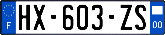 HX-603-ZS