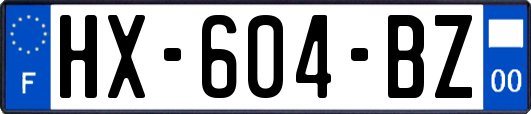 HX-604-BZ
