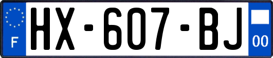 HX-607-BJ