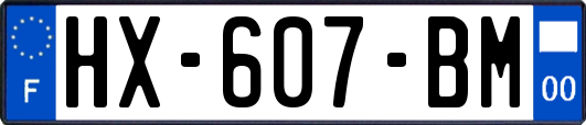 HX-607-BM