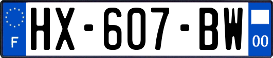 HX-607-BW