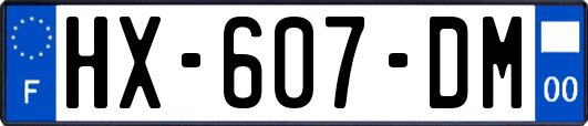 HX-607-DM