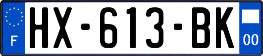 HX-613-BK