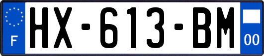 HX-613-BM