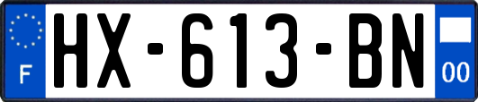 HX-613-BN