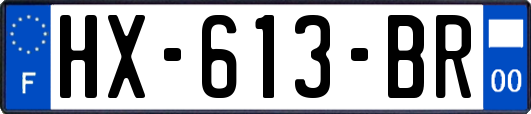 HX-613-BR