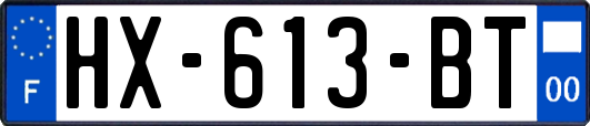 HX-613-BT