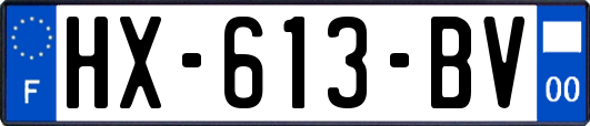 HX-613-BV