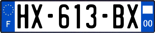 HX-613-BX