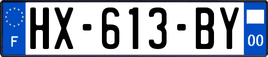 HX-613-BY