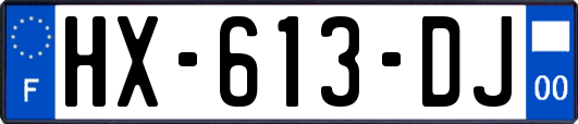 HX-613-DJ