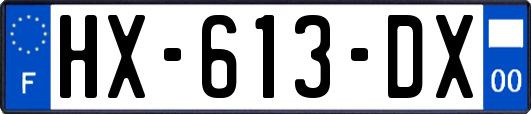HX-613-DX