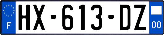 HX-613-DZ