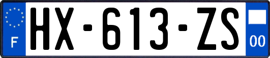 HX-613-ZS