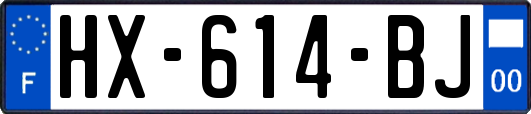 HX-614-BJ