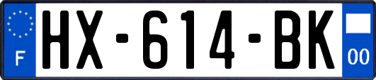 HX-614-BK