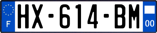 HX-614-BM