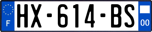 HX-614-BS