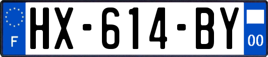 HX-614-BY