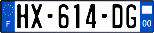 HX-614-DG