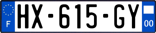 HX-615-GY