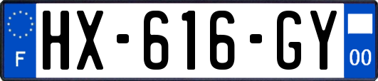 HX-616-GY