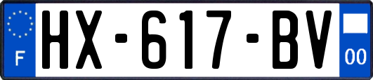 HX-617-BV
