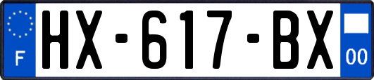 HX-617-BX
