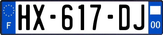 HX-617-DJ