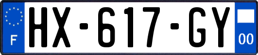 HX-617-GY