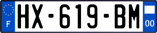 HX-619-BM