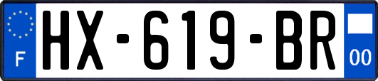 HX-619-BR