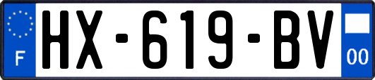 HX-619-BV