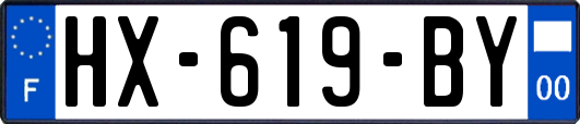 HX-619-BY