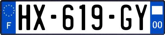 HX-619-GY