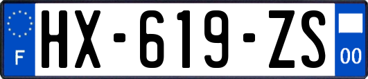 HX-619-ZS