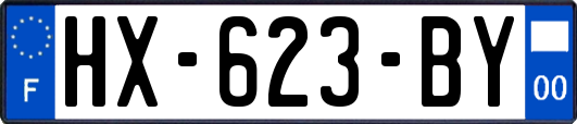 HX-623-BY