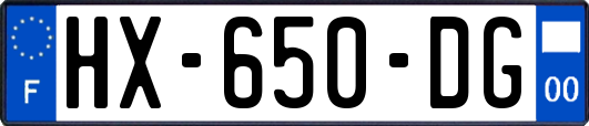 HX-650-DG