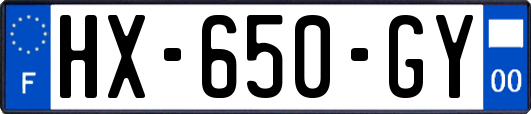 HX-650-GY