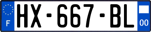 HX-667-BL