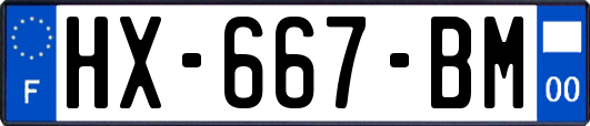 HX-667-BM