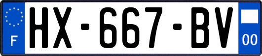 HX-667-BV