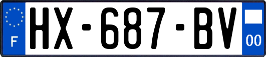 HX-687-BV