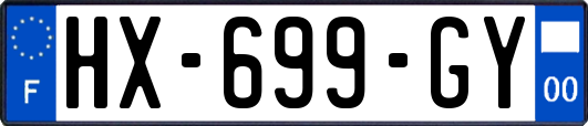 HX-699-GY