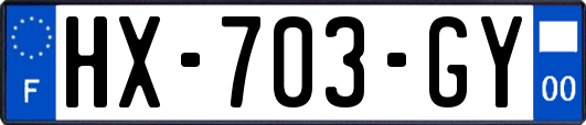 HX-703-GY