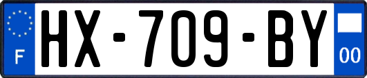 HX-709-BY