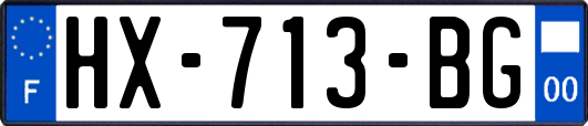 HX-713-BG