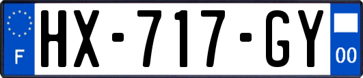 HX-717-GY