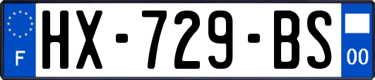 HX-729-BS