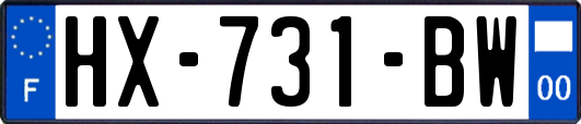 HX-731-BW